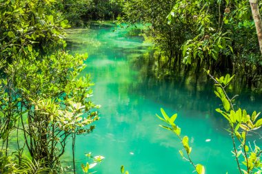 Krabi il Tayland güneyinde zümrüt Havuzu