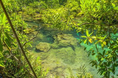 Krabi il Tayland güneyinde zümrüt Havuzu