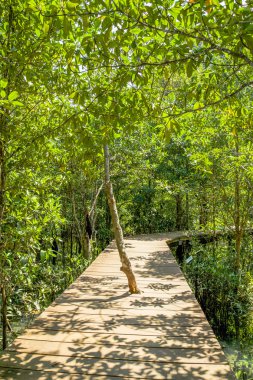 Krabi il zümrüt Havuzu