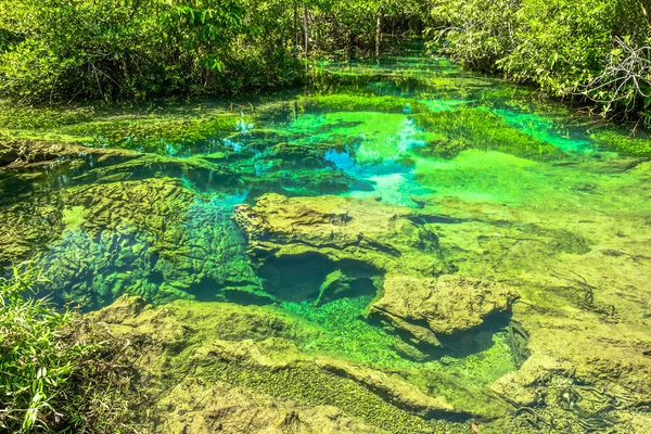 Piscina esmeralda en la provincia de Krabi al sur de Tailandia — Foto de Stock