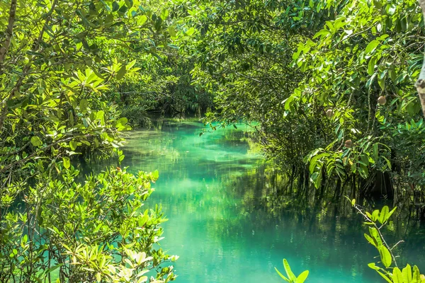 Krabi il zümrüt Havuzu