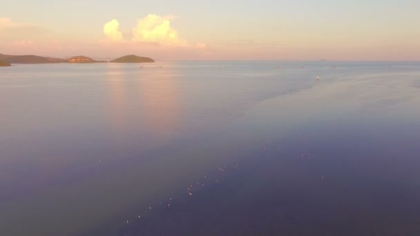 Sauvagine en attente pour certains poissons être canal latéral — Video