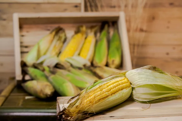 Fresh corn from farm — Stock Photo, Image