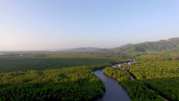 Fotografia lotnicza w zatoce Phang Nga — Wideo stockowe