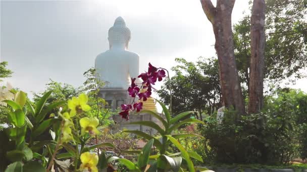 Fiore dietro il grande Buddha di Phuket nella stagione delle piogge — Video Stock