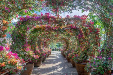 Renkli bougainvillea kemeri turistler için kalp şeklinde bir dekorasyon.