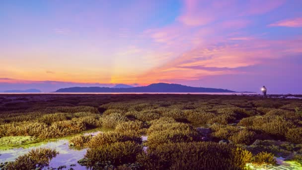 Zeitraffer Szenerie Sonnenaufgang Über Dem Korallenriff Bei Ebbe Rawai Meer — Stockvideo