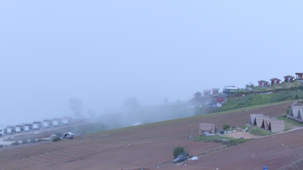 Stațiuni Acoperire Ceaței Dealul Thub Berg Phu Thub Berg Este — Videoclip de stoc