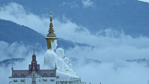 Big White Five Buddha Statuen Wat Phra Pha Son Kaew — Stockvideo