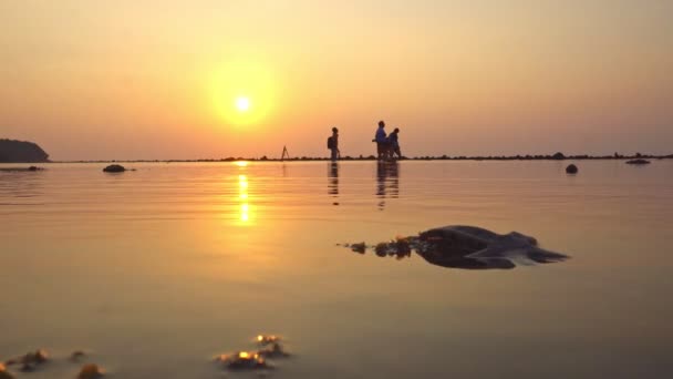 位于泰国奈阳海滩的海星在日落时分从礁石上爬下来 — 图库视频影像