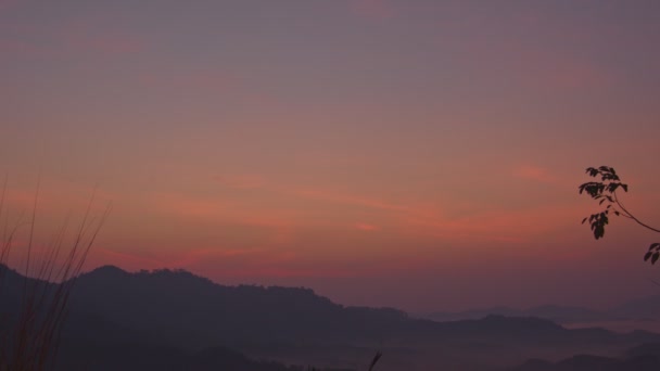 Rode Lucht Bedekt Morgens Mistige Valleien Provincie Phang Nga Heeft — Stockvideo