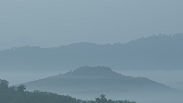 Mist Vallei Ochtend Als Zon Schijnt Bergtop Zee Van Mist — Stockvideo