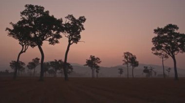 Khun Sathan Milleti Parkı 'nda gün doğumu