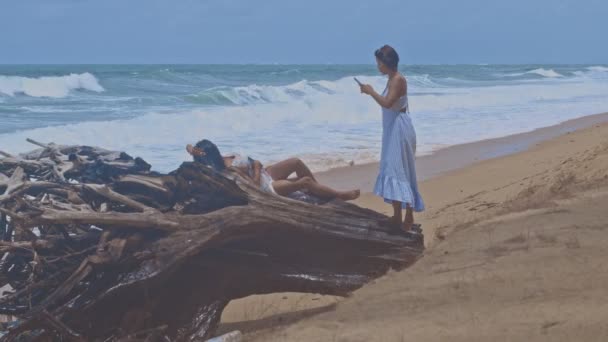 Відео Високої Якості Великий Сосновий Корінь Розпадається Пляжі Май Хао — стокове відео