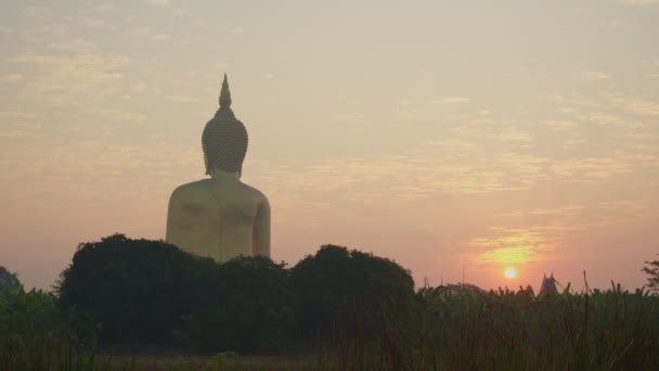 Cenário Grande Estátua Buda Ouro Wat Muang — Vídeo de Stock