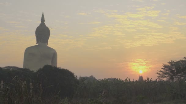 Cenário Grande Estátua Buda Ouro Wat Muang — Vídeo de Stock