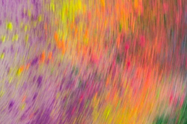 Верхний Вид Цветов Полу Различных Цветов Сложенных Вместе Слоями Выглядит — стоковое фото