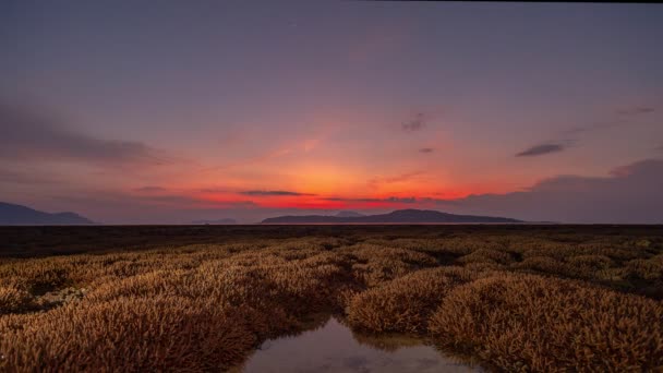 Waktu Pemandangan Lapse Matahari Terbit Atas Terumbu Karang Karang Terumbu — Stok Video