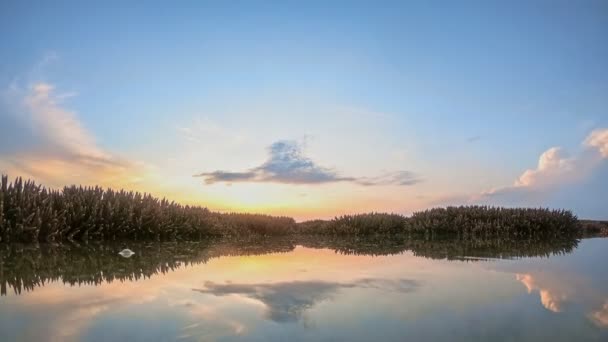 Time Lapse Paysage Lever Soleil Dessus Récif Corallien Récif Corallien — Video