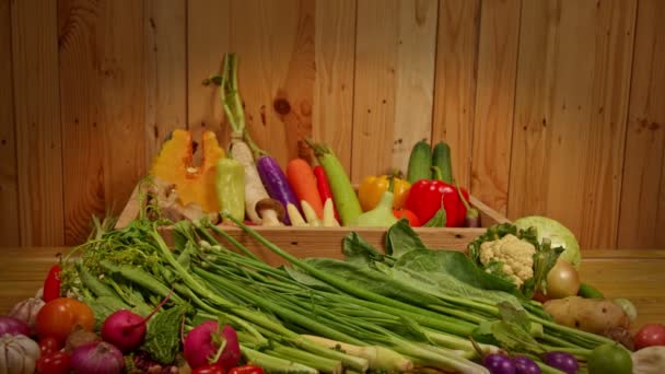 Het Bereiden Van Kookmaterialen Verse Groenten Verse Visfilets Specerijen Worden — Stockvideo