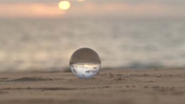 蟹在日落时绕着水晶球散步 日落时海滩上蟹的自然景观是非传统的 也是美丽的 独特而富有创意的旅行理念的形象 — 图库视频影像