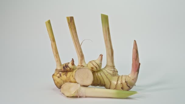 Galangal Erba Piccante Calda Dolce Che Viene Comunemente Utilizzata Cucina — Video Stock