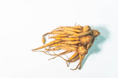 Krachai, koronavirüsün büyümesini durdurabilecek bir bitkidir..