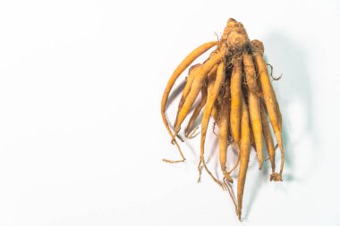 Zencefil, baharatlı, sıcak ve tatlı bir bitkidir ve genellikle aşçılıkta ve bitkisel bir ilaç malzemesi olarak kullanılır.