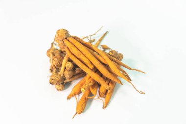 Krachai, koronavirüsün büyümesini durdurabilecek bir bitkidir..