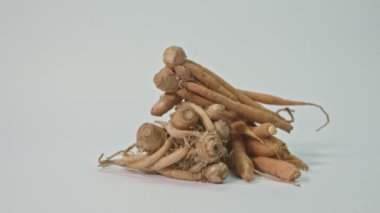 Krachai . Bitki arkaplanlı yüksek kaliteli 4K video