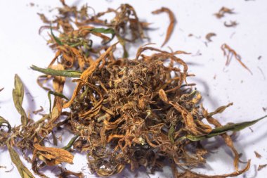 CBD 'yi çıkarmak için kuru marihuana çiçekleri