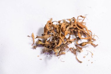 CBD 'yi çıkarmak için kuru marihuana çiçekleri