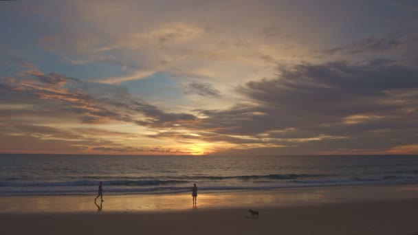 Ein Mann Strand Bei Sonnenuntergang — Stockvideo