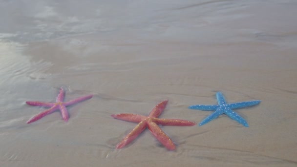 Πολύχρωμο Αστερίας Στην Αμμώδη Παραλία Στο Karon Beach Πουκέτ Υψηλής — Αρχείο Βίντεο