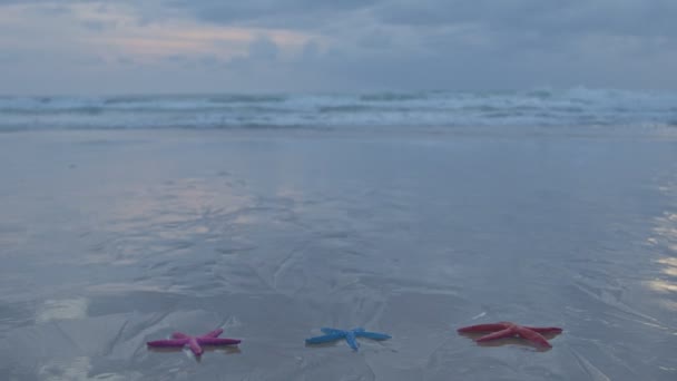 Kolorowe Rozgwiazdy Piaszczystej Plaży Karon Beach Phuket Wysokiej Jakości Piaszczysta — Wideo stockowe