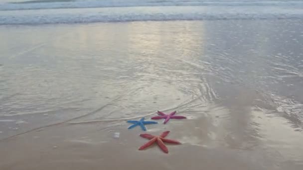 タイのプーケット島カロンビーチでカラフルなヒトデをクラッシュさせる柔らかい波 高品質4K 砂浜の背景 — ストック動画