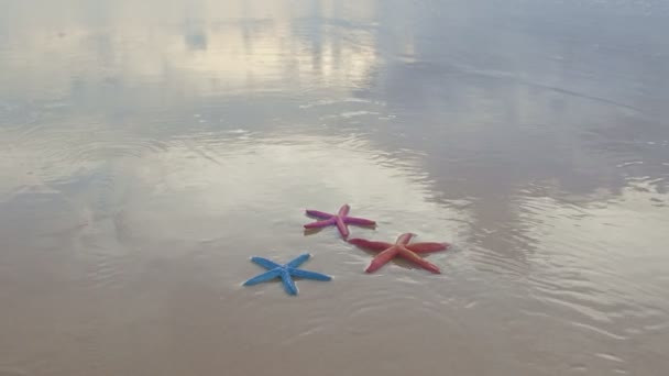 Suaves Olas Estrellándose Estrellas Mar Colores Karon Beach Phuket Tailandia — Vídeo de stock