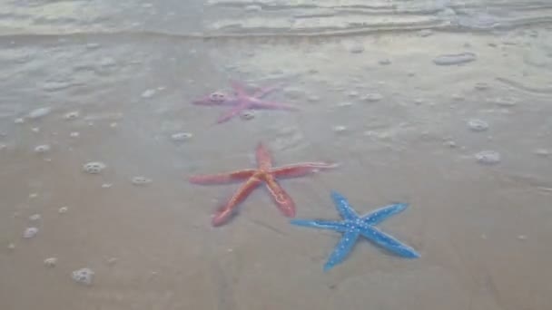 Yumuşak Dalgalar Karon Sahili Phuket Tayland Renkli Deniz Yıldızlarına Çarpıyor — Stok video