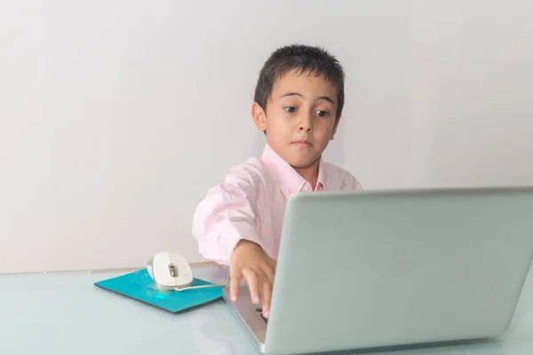 Ein Junge Rosafarbenen Hemd Genoss Den Laptop Fröhlich Anzusehen Studioporträt — Stockfoto