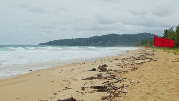 Monsoon Season Marine Debris Gets Stuck Beach Making Once Beautiful — Stock Video