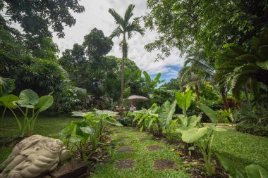 Yeşil bahçede dergi okuyan bir kadın. Ahşap masada kahve setiyle yeşil bahçede rahatlayan bir kadın. yeşil bahçe arkaplanı.