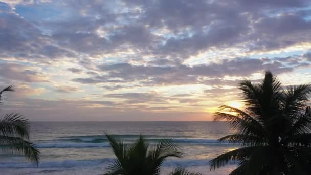 夕阳西下 鸟瞰着美丽的天空 笼罩着椰树 带着甜美的黄色光芒和其它大气效果的日落 自然4K视频高质量的镜头 — 图库视频影像