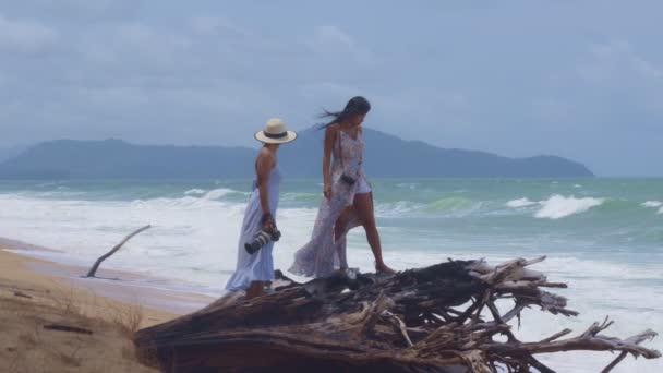 Dwie Kobiety Stoją Dużych Korzeniach Sosny Pobliżu Morza — Wideo stockowe