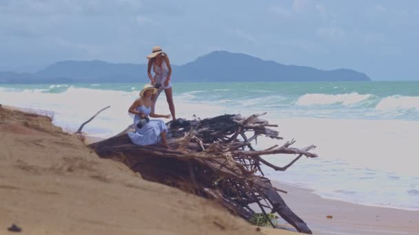 Duas Mulheres Estão Grandes Raízes Pinheiro Perto Mar — Vídeo de Stock