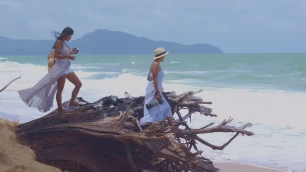 Duas Mulheres Estão Grandes Raízes Pinheiro Perto Mar — Vídeo de Stock