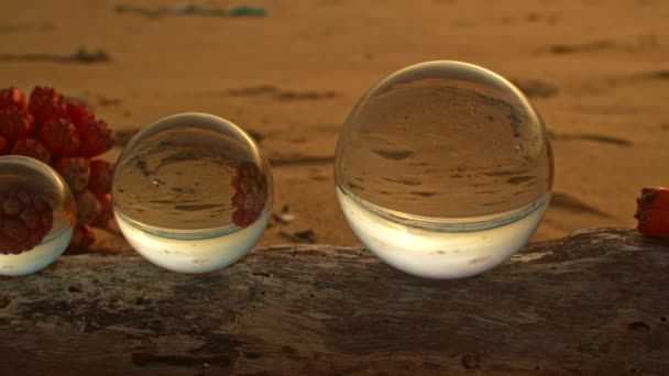 Vista Playa Atardecer Dentro Bolas Cristal Sobre Una Madera — Vídeo de stock