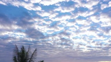 Hindistan cevizi ağaçlarının üzerinden gün batımında gökyüzü güzel görünüyor. Soyut doğa arka planı. Tatlı sarı ışık ışınları ve diğer atmosferik efektlerle günbatımı. Doğa 4K video yüksek kaliteli görüntü..