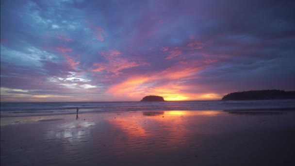 Ein Glücklicher Junge Läuft Strand Atemberaubendem Sonnenuntergang Uhd Schöner Tropischer — Stockvideo