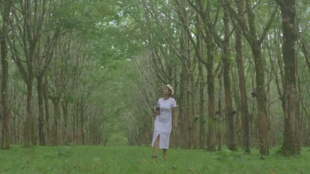 드레스를 여성은 카메라를 사용하여 고무나무 배경의 사진을 촬영한다 고품질 비디오 — 비디오