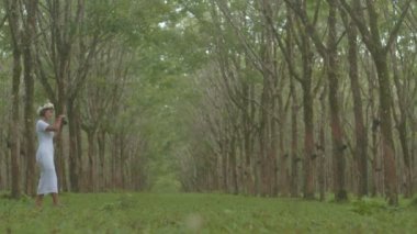 Beyaz elbiseli bir kadın lastik tarlada resim çekmek için kamera kullanıyor. Plastik plantasyondaki ağaç tüneli. Yeşil orman arka planı. 4K Yüksek kaliteli video.